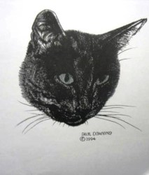 902 BLACK/GREY 'CAT HEAD' PAUL DOWNING CROSS STITCH PATTERN